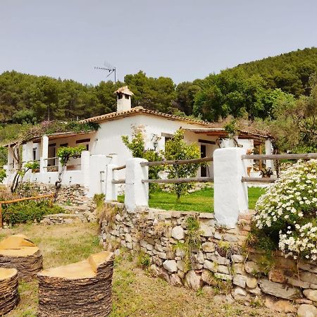 Villa Huerta Nacimiento 蒙地卡罗 外观 照片